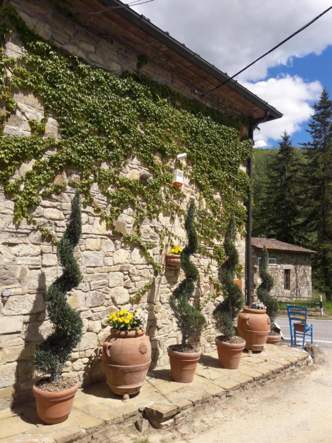 La Fiaba Guest House Castellina in Chianti Luaran gambar